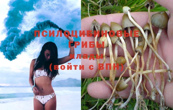 герыч Нефтекумск