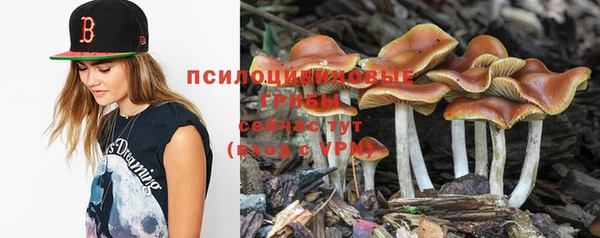 мет Алзамай