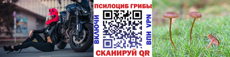 что такое   ссылка на мегу рабочий сайт  Псилоцибиновые грибы Psilocybe  Солнечногорск 