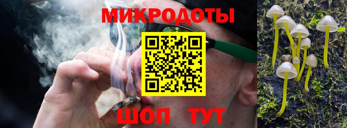 Псилоцибиновые грибы Psilocybine cubensis Солнечногорск